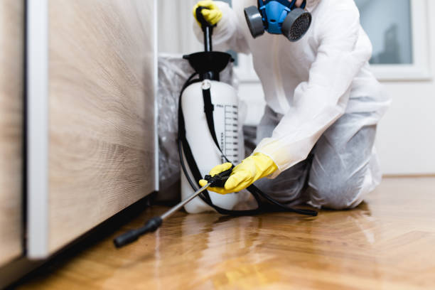Best Bed Bug Extermination  in Raymond, WI