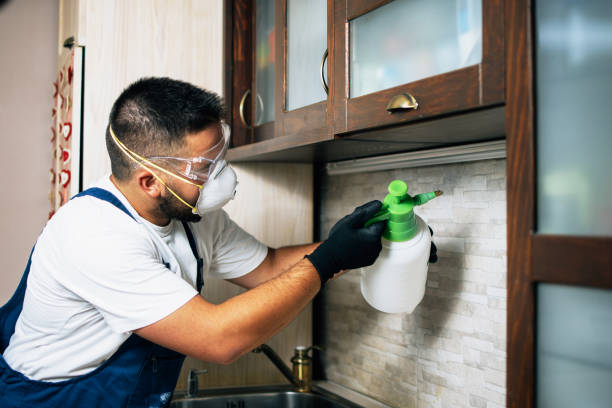 Best Cockroach Control Services  in Raymond, WI