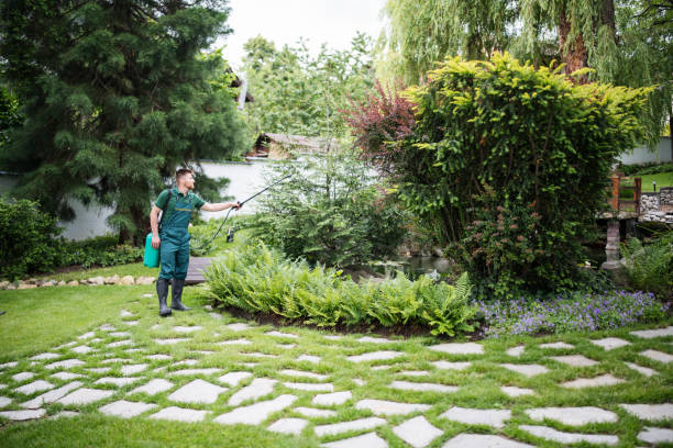 Best Mosquito Control Services  in Raymond, WI