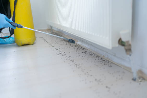 Professional Pest Control in Raymond, WI