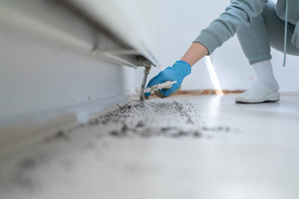 Best Affordable Pest Control Services  in Raymond, WI