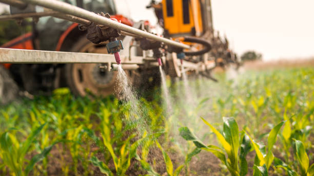 Best Local Pest Control Services  in Raymond, WI