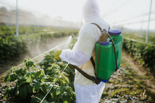 Best Flea Control Services  in Raymond, WI